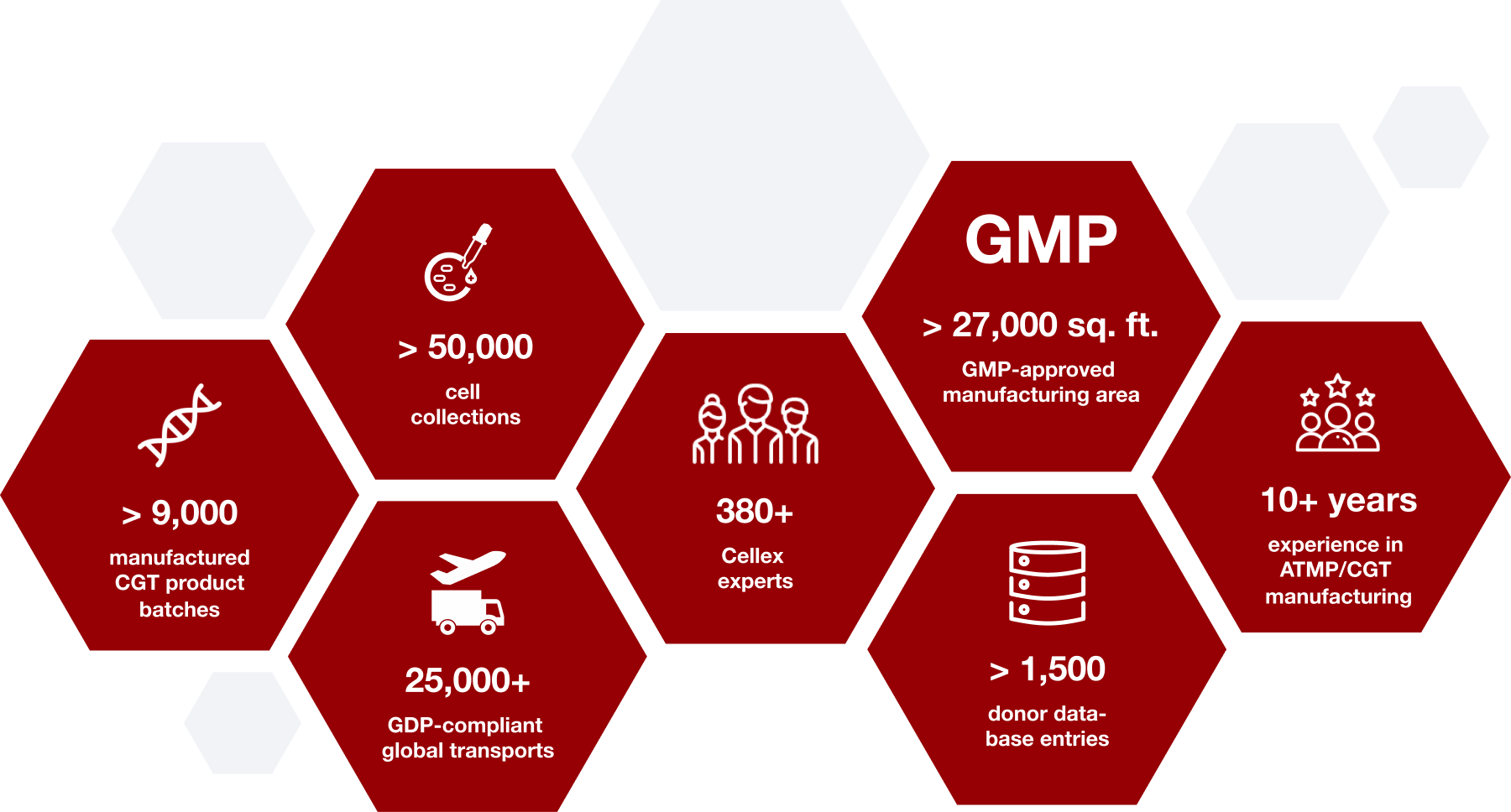 Overview over the core services of Cellex Cell professionals for blood stem cell donations and manufacturing.